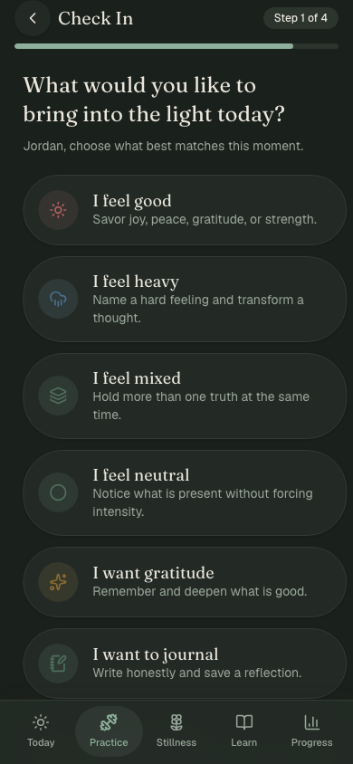 EJJ check-in screen asking what to bring into the light today